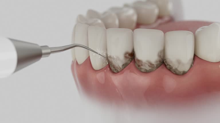 Reliable Dental contractor in Berkley, CO by Dentist Open Now